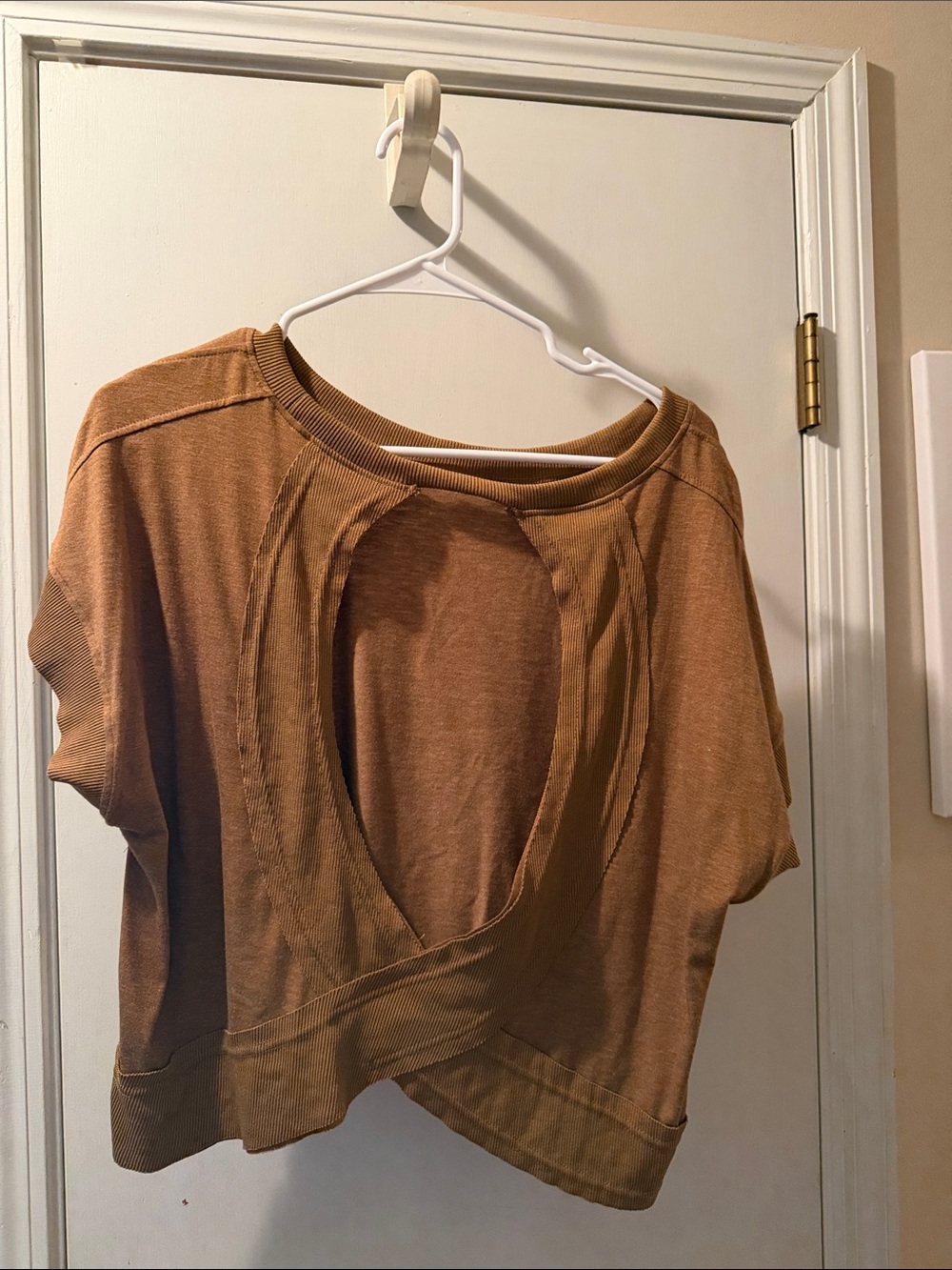 Open-Back Cropped Top in Brown